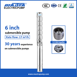 Mastra 6 inch all stainless steel Solar pumping system 6SP the best submersible pump