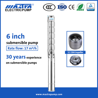 Mastra 6 inch ທັງຫມົດ stainless steel submersible well pump ການທົບທວນຄືນ 6SP17 10 hp ສູບ submersible ລາຄາຟີລິບປິນ