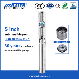 Mastra 5 inch all stainless steel lorentz submersible pump 5SP10 submersible water pump amazon