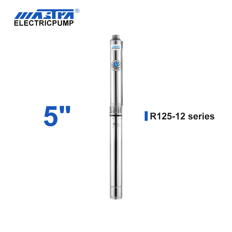Bomba sumergible Mastra de 5 pulgadas - Serie R125, caudal nominal de 12 m&sup3;/h, controles remotos personalizados