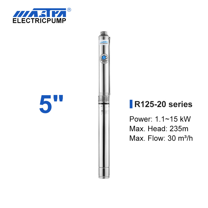 Mastra 5 inch Submersible Pump - R125 mfululizo 20 m&sup3;/h iliyokadiriwa mtiririko pampu za viwandani zilizotumika