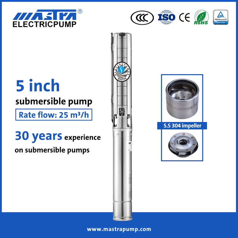 Mastra 5 inch cikakken bakin karfe submersible famfo mafi kyau iri 5SP Submersible Pump mai kaya
