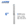 Mastra 6 inch RVS dompelpomp - 6SP serie 60 m&sup3;/h nominaal debiet utilitech dompelwatervalpomp